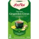 Thé Vert Gingembre Citron - 17 sachets d'infusion - Yogi Tea