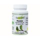 Gemm'Vital Figuier Bio - 60 Gelules - Vit'All+