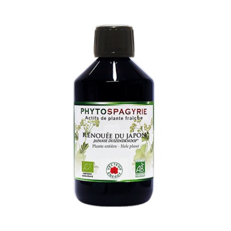 Renouée du Japon - Phytoforce - 300 ml - Vecteur Energy