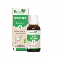 Genévrier Macérat Bio - 30ml - HerbalGem