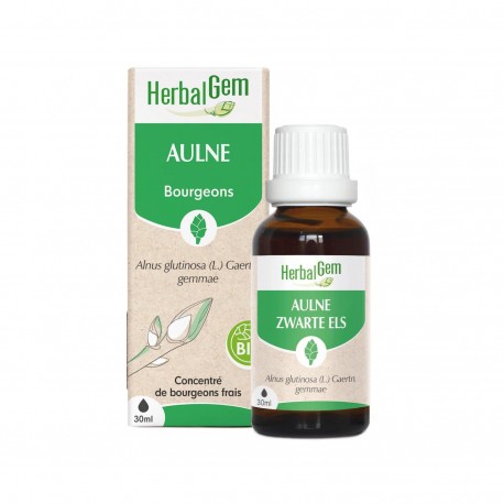 Bourgeon Aulne - 50ml - HerbalGem