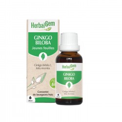 Bourgeon de Gingko Bilboa - 30ml - Herbalgerm