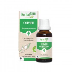 Olivier - 15ml - HerbalGem