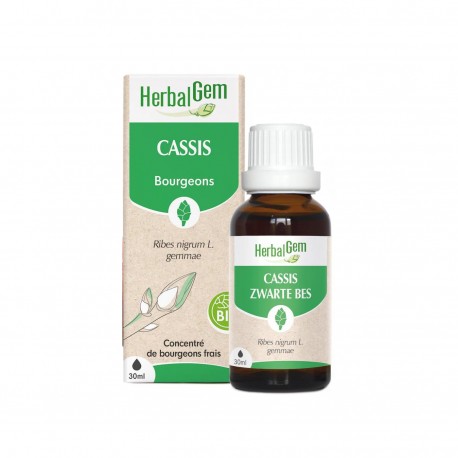 Bourgeon de Cassis Bio - 30ml - HerbalGem