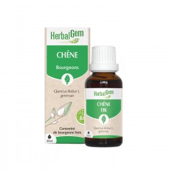 Bourgeon de Chêne Bio - 30ml - HerbalGem