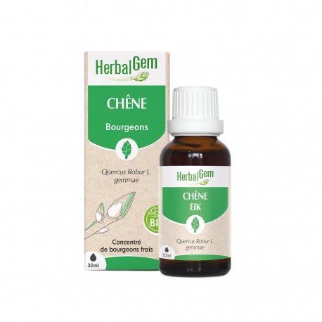 Bourgeon de Chêne Bio - 30ml - HerbalGem