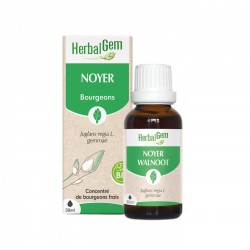 Bourgeon de Noyer Bio - 30ml - HerbalGem