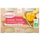 Petit Pot Pomme Mangue - 2x130g - Babybio